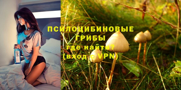 ПСИЛОЦИБИНОВЫЕ ГРИБЫ Краснослободск
