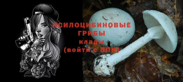 ПСИЛОЦИБИНОВЫЕ ГРИБЫ Краснослободск