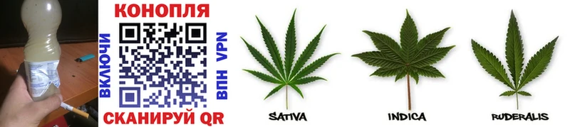 Шишки марихуана SATIVA & INDICA Купить где Комсомольск